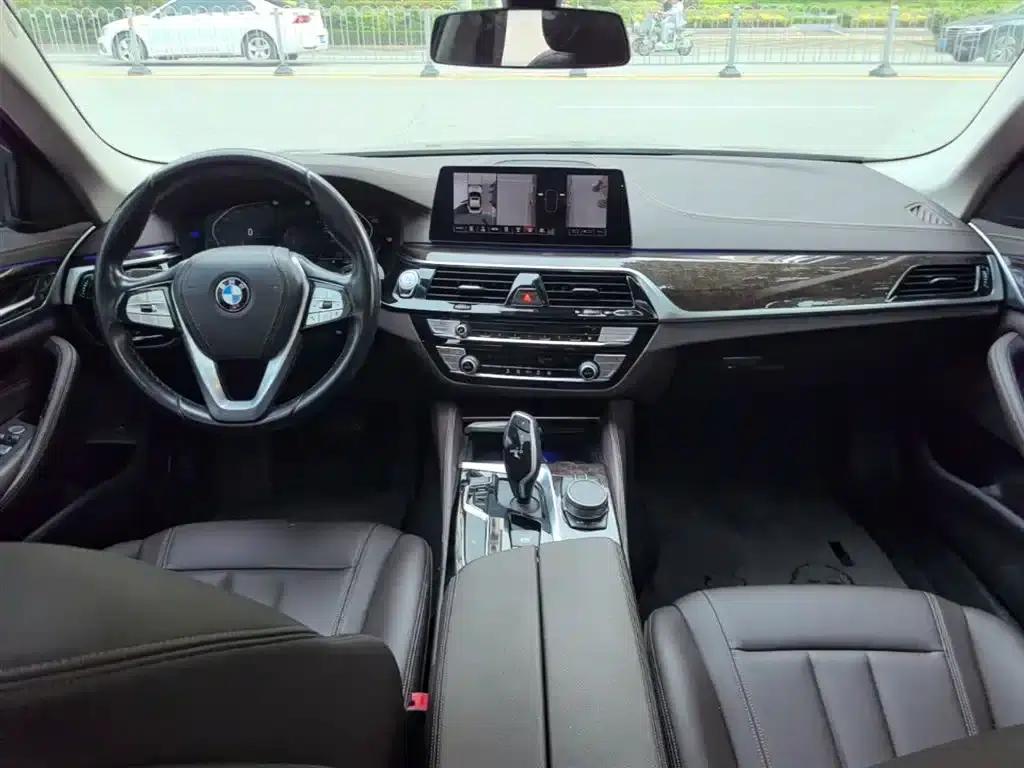 2020 BMW 5 Series 525Li Luxury Package — миниатюра 10