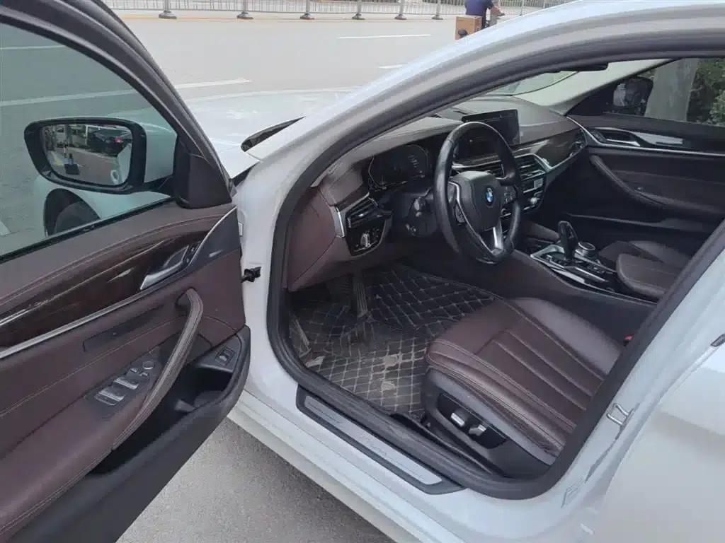 2020 BMW 5 Series 525Li Luxury Package — миниатюра 16