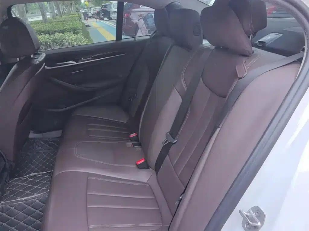 2020 BMW 5 Series 525Li Luxury Package — миниатюра 17