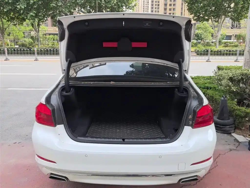 2020 BMW 5 Series 525Li Luxury Package — миниатюра 19