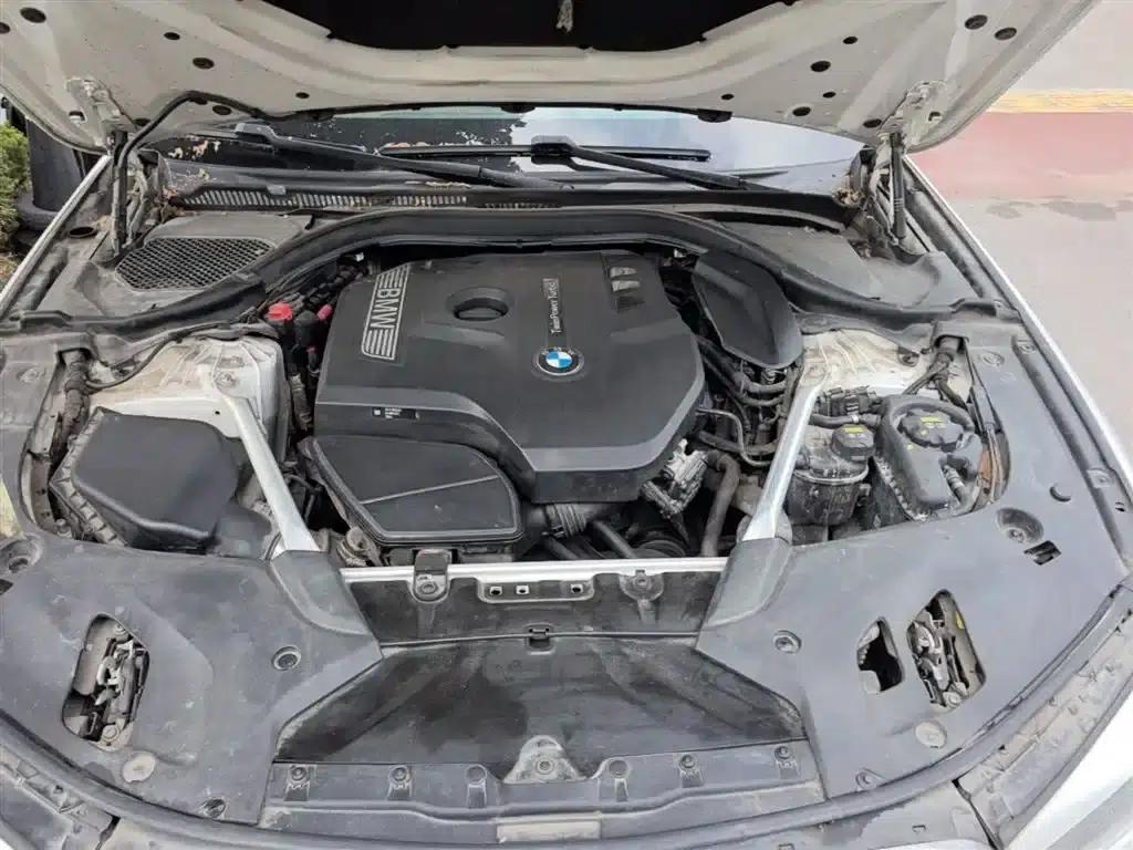 2020 BMW 5 Series 525Li Luxury Package — миниатюра 20