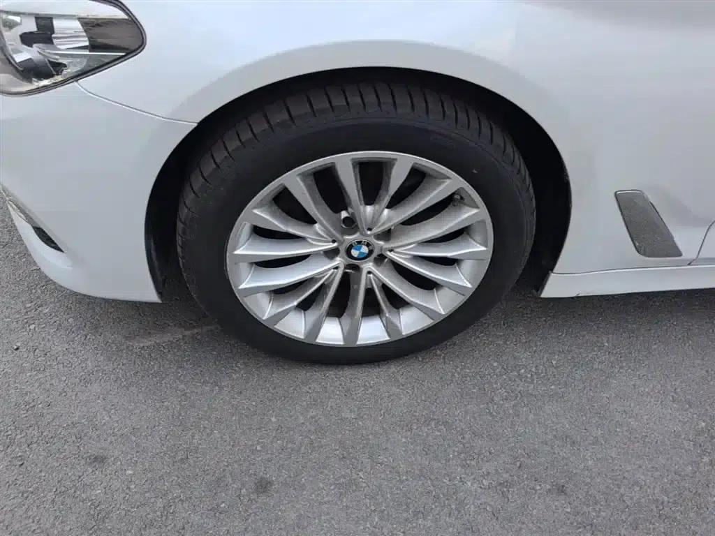 2020 BMW 5 Series 525Li Luxury Package — миниатюра 23
