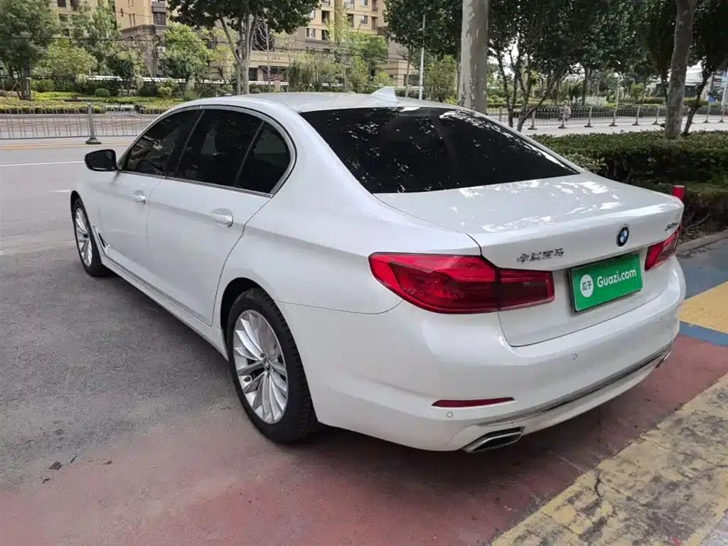 2020 BMW 5 Series 525Li Luxury Package — миниатюра 5
