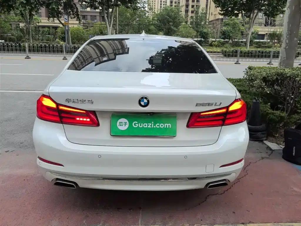 2020 BMW 5 Series 525Li Luxury Package — миниатюра 6
