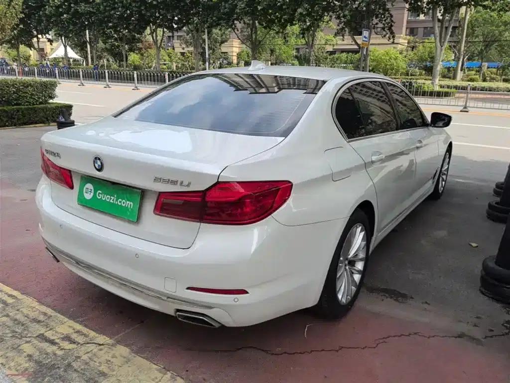 2020 BMW 5 Series 525Li Luxury Package — миниатюра 7