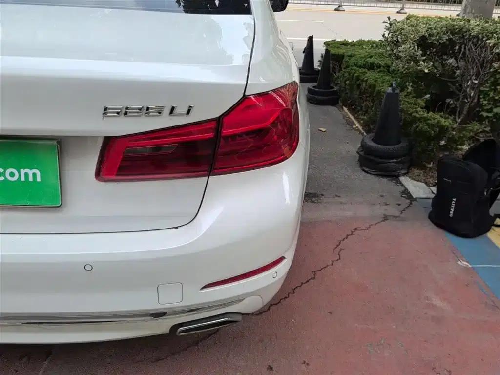 2020 BMW 5 Series 525Li Luxury Package — миниатюра 8