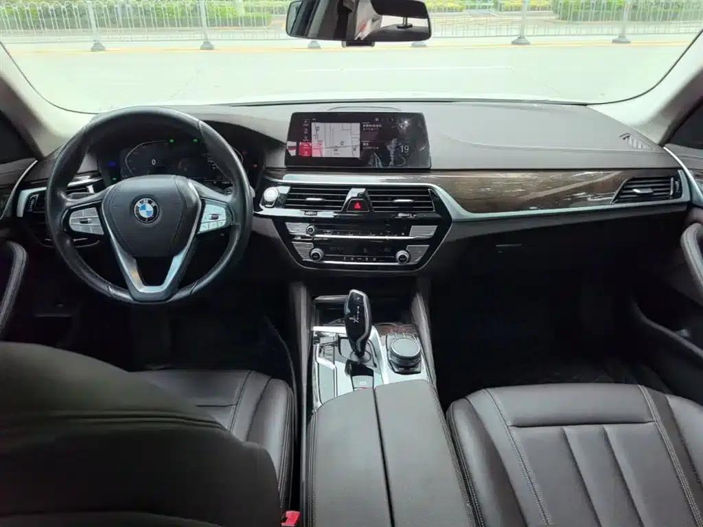 2020 BMW 5 Series 525Li Luxury Package — миниатюра 10
