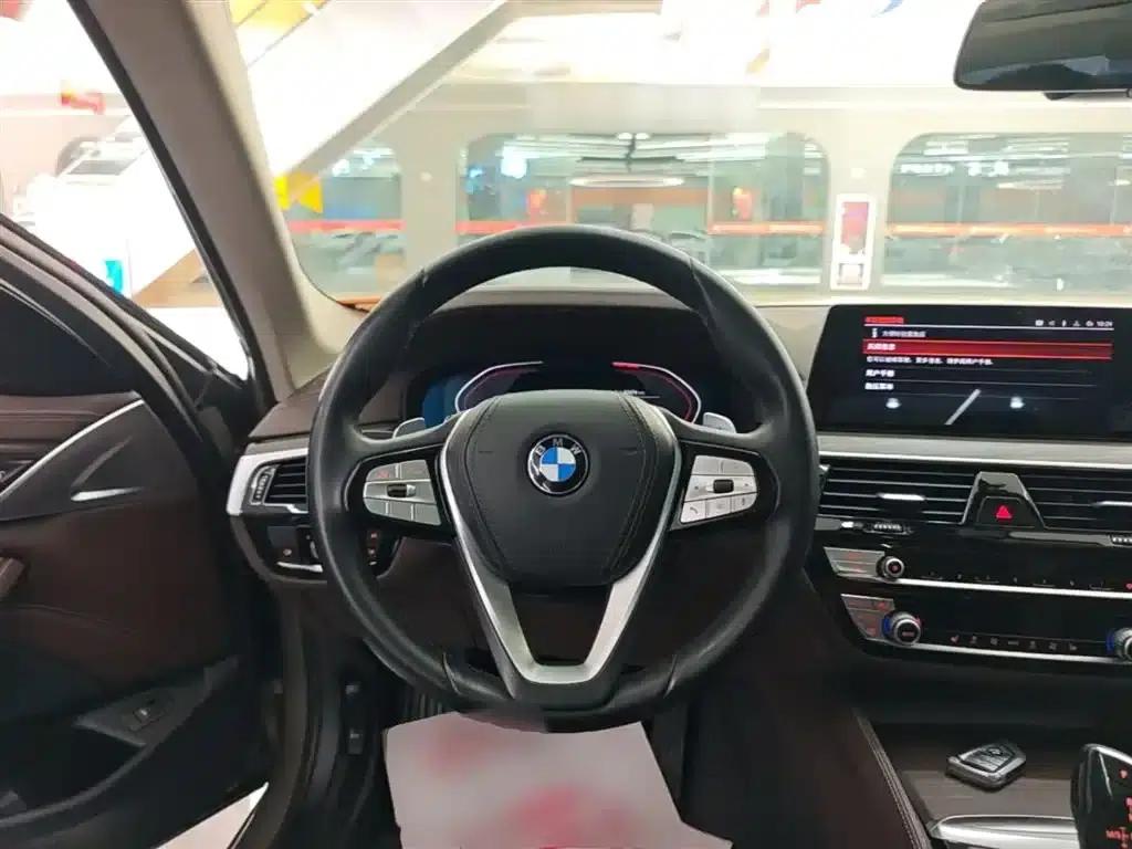 BMW 5 Series 2020 530Li Leading Luxury Package — миниатюра 11