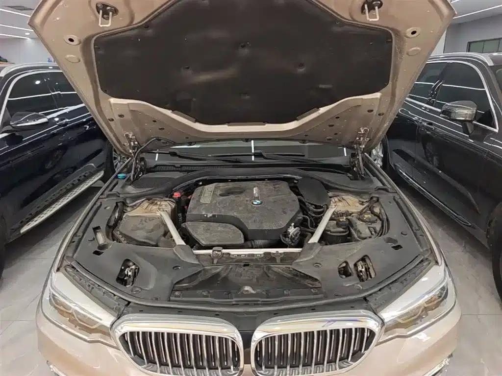 BMW 5 Series 2020 530Li Leading Luxury Package — миниатюра 20