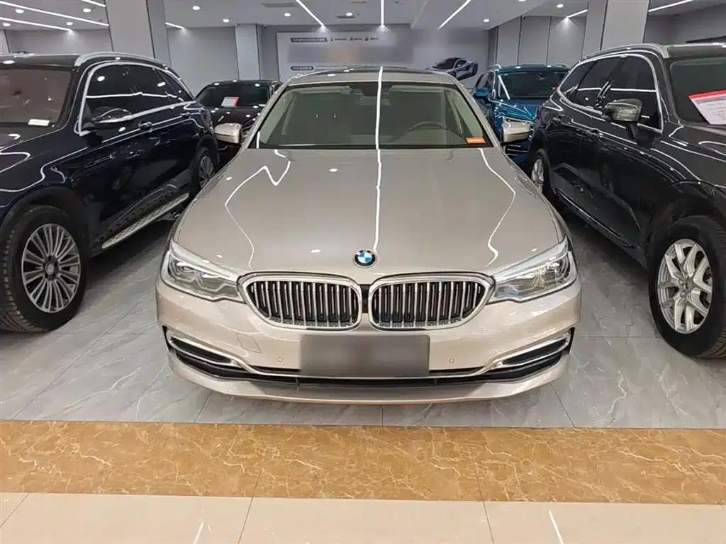 BMW 5 Series 2020 530Li Leading Luxury Package — миниатюра 3