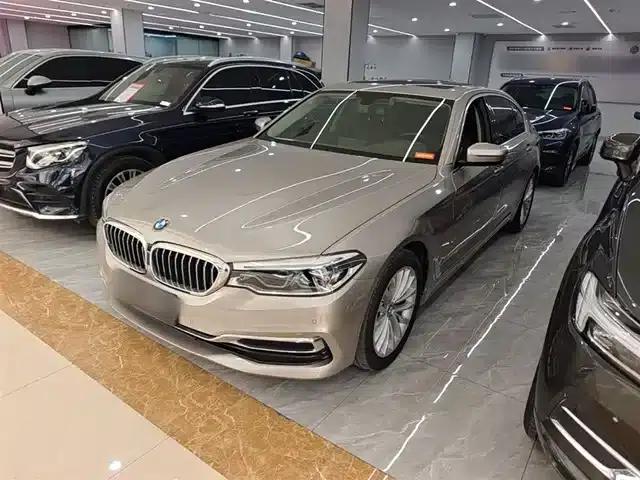BMW 5 Series 2020 530Li Leading Luxury Package