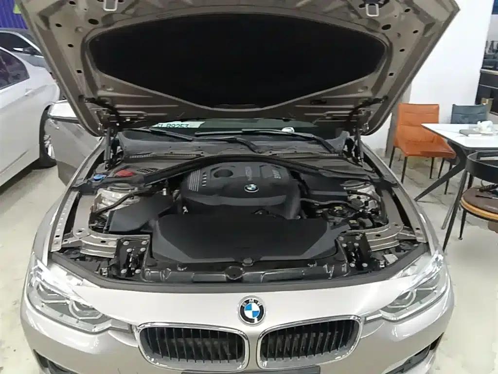 2017 BMW 3 Series 320Li Fashion Edition — миниатюра 20