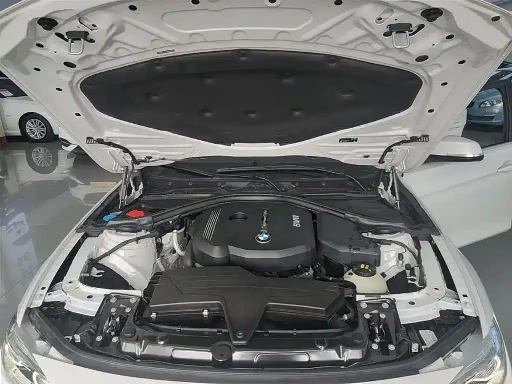 2018 BMW 3 Series 318Li — миниатюра 20