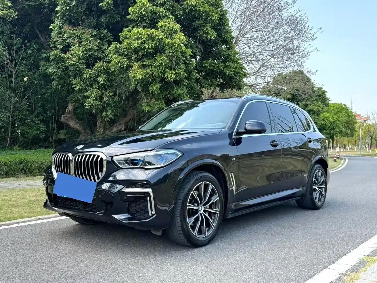 BMW X5 2022 xDrive 30Li Luxury M Sport Package — миниатюра 1
