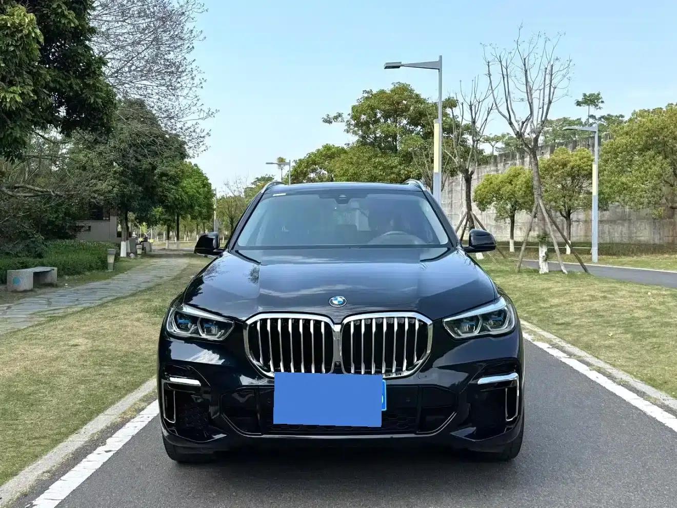 BMW X5 2022 xDrive 30Li Luxury M Sport Package — миниатюра 2