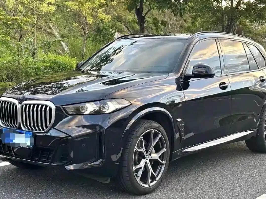 BMW X5 2023 xDrive 30Li Luxury M Sport Package — миниатюра 1