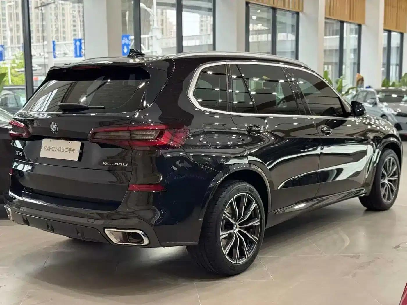 BMW X5 2022 Facelift xDrive 30Li M Sport Package — миниатюра 4