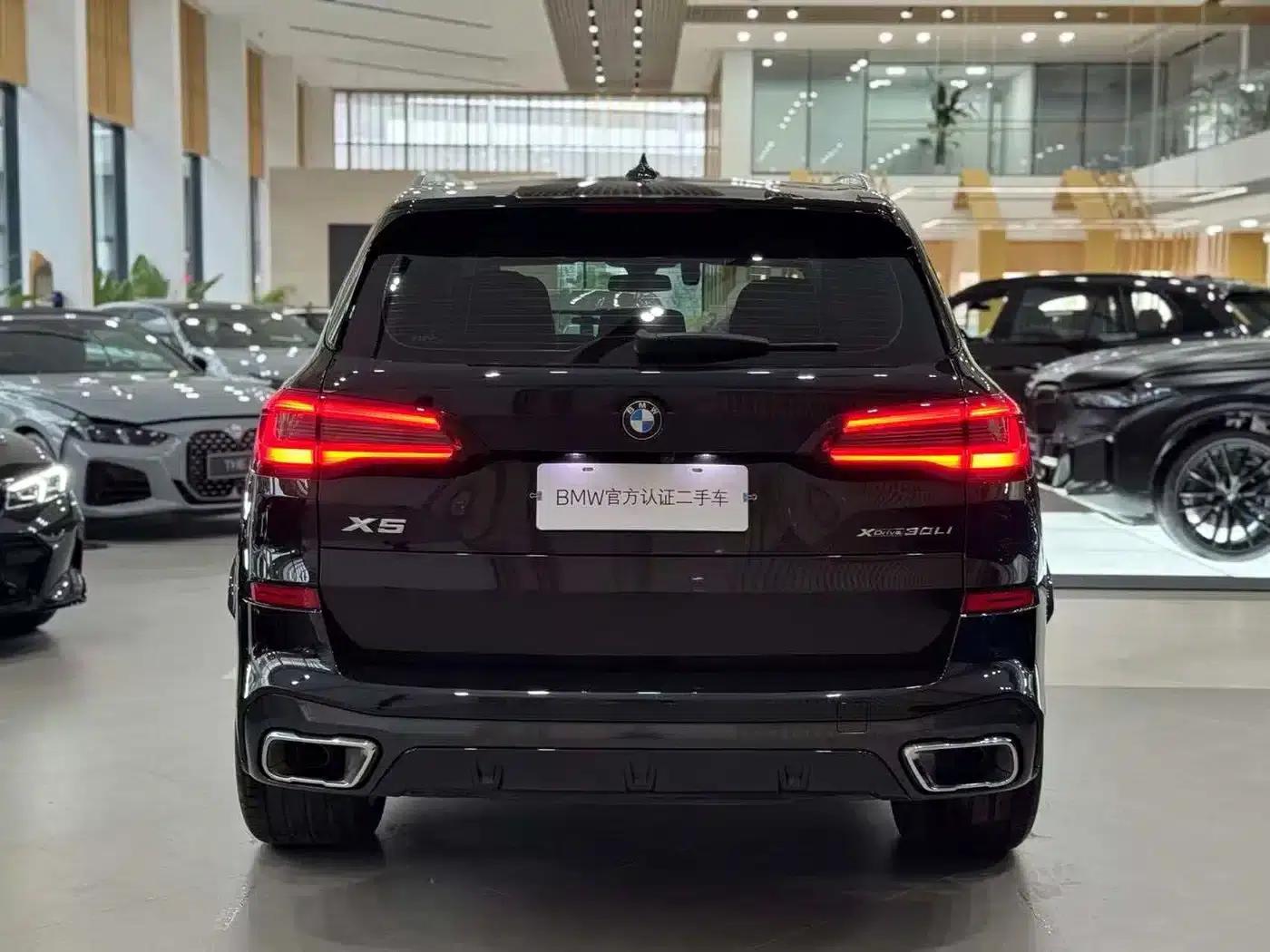BMW X5 2022 Facelift xDrive 30Li M Sport Package — миниатюра 5