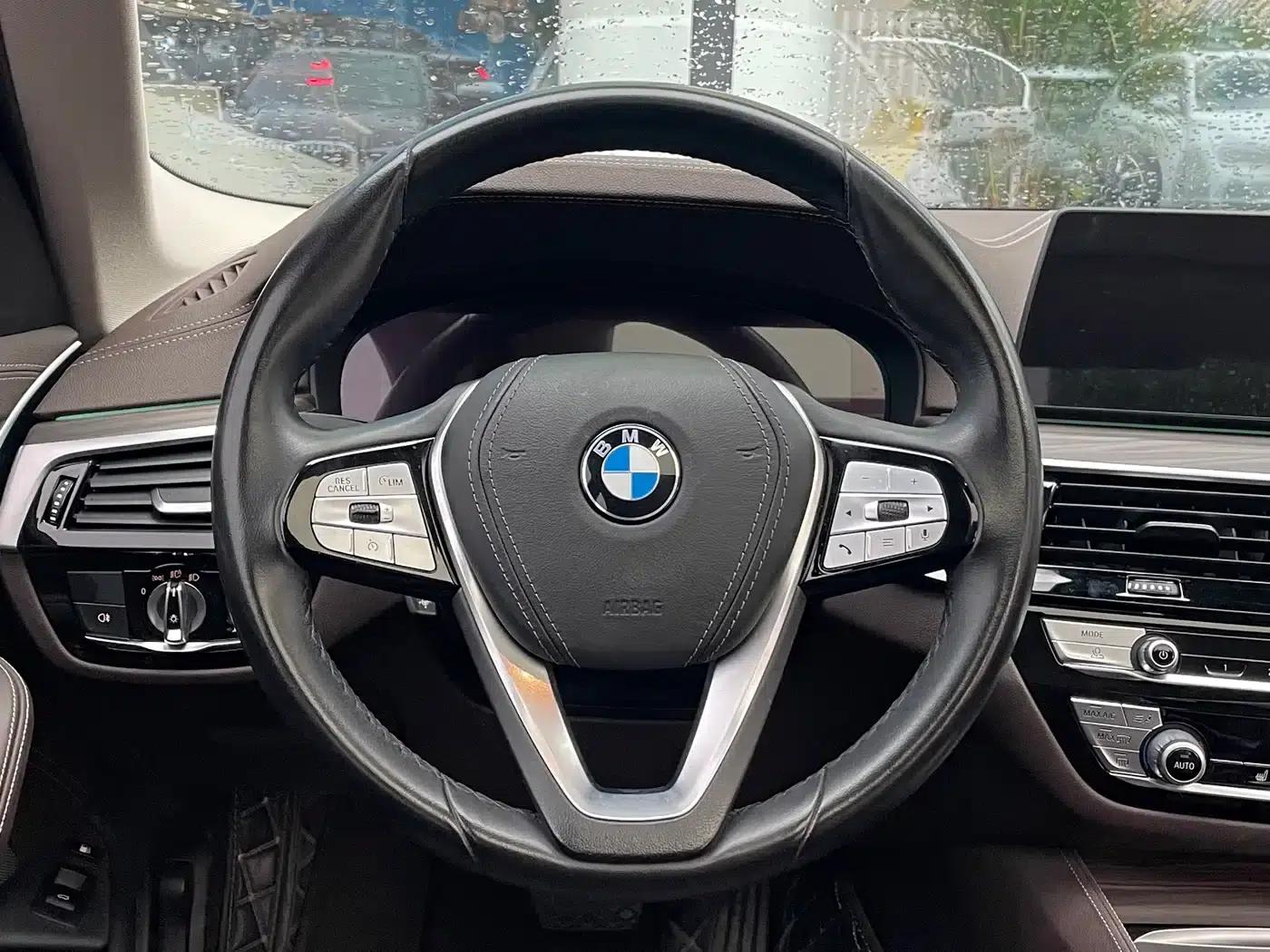 BMW 5 Series PHEV 2020 Mileage Upgrade Edition 530Le Luxury Package — миниатюра 7