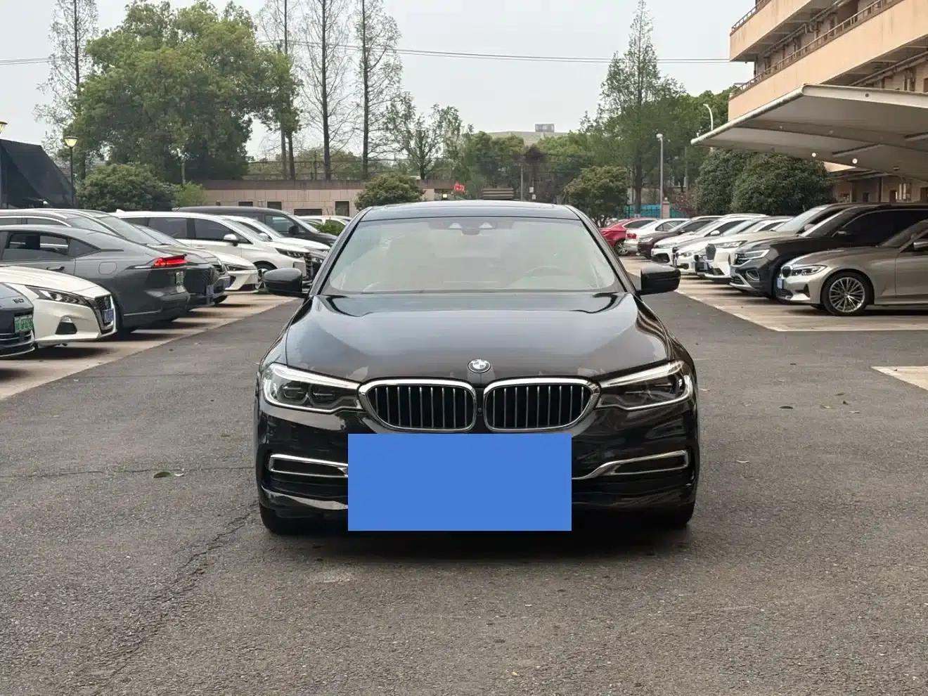 BMW 5 Series PHEV 2020 Mileage Upgrade Edition 530Le Luxury Package — миниатюра 2