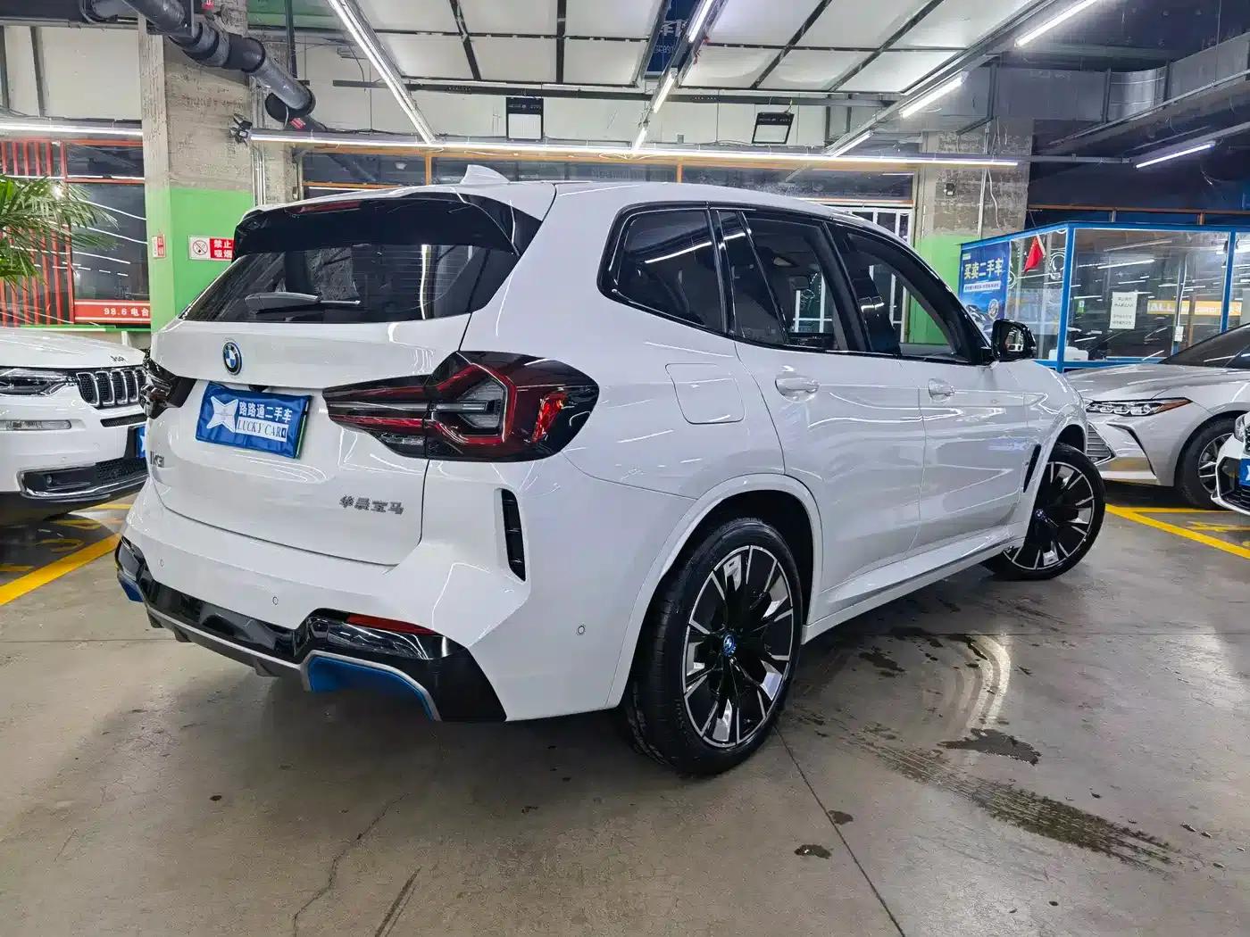 BMW iX3 2022 Leading Edition — миниатюра 6