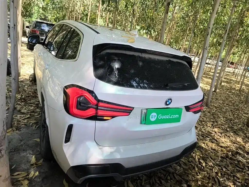 BMW iX3 2022 Leading Edition — миниатюра 6