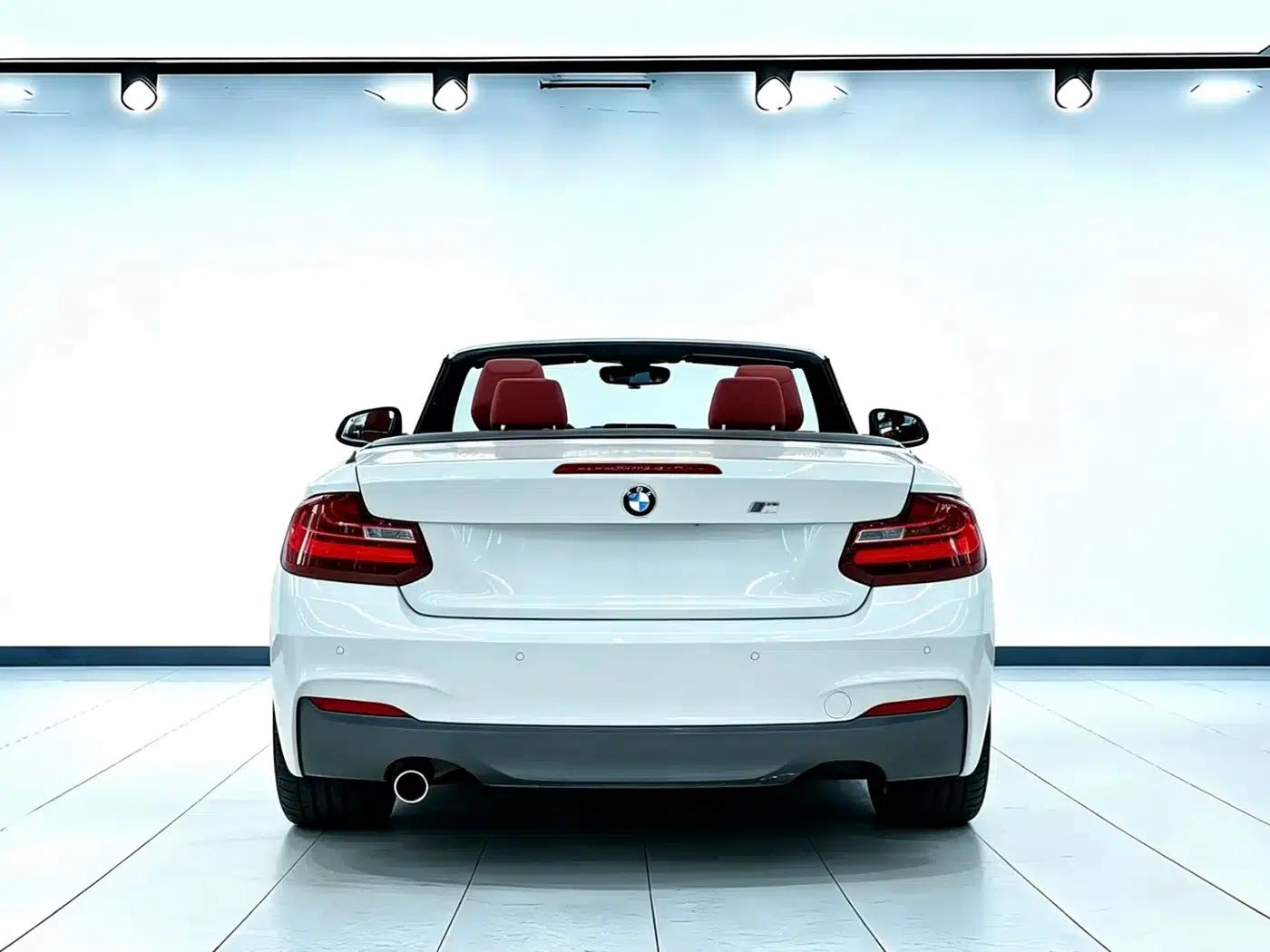 2015 BMW 2 Series Imported 220i Convertible Coupe M Sport — миниатюра 5