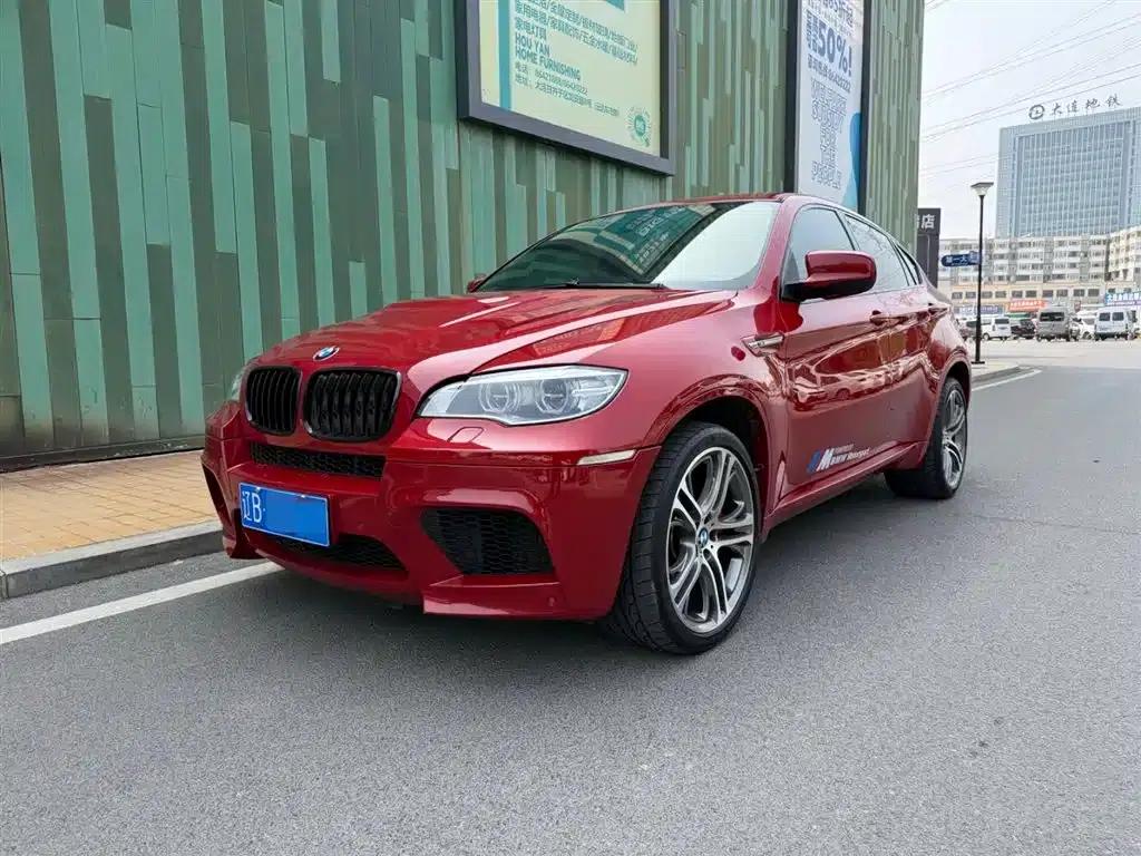 2010 BMW X6 M — миниатюра 1