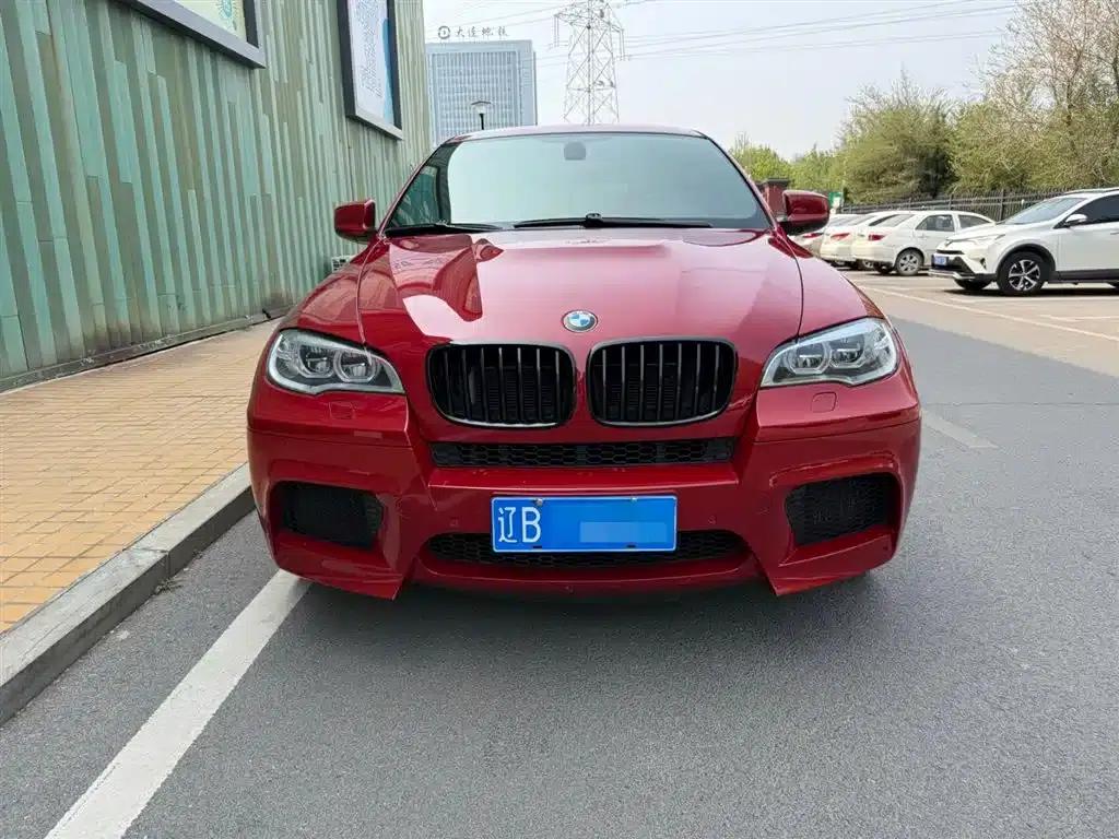 2010 BMW X6 M — миниатюра 2