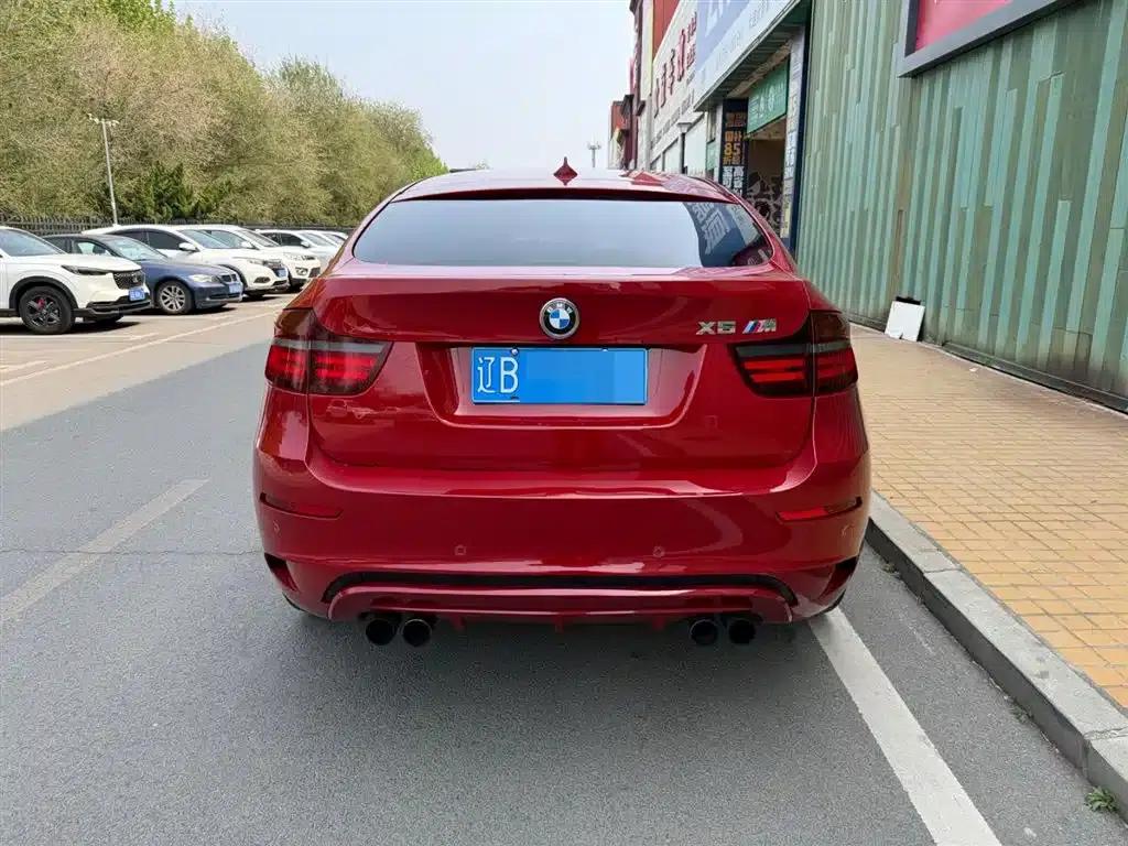 2010 BMW X6 M — миниатюра 13