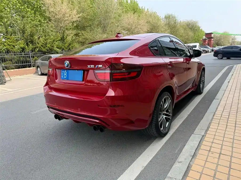 2010 BMW X6 M — миниатюра 14