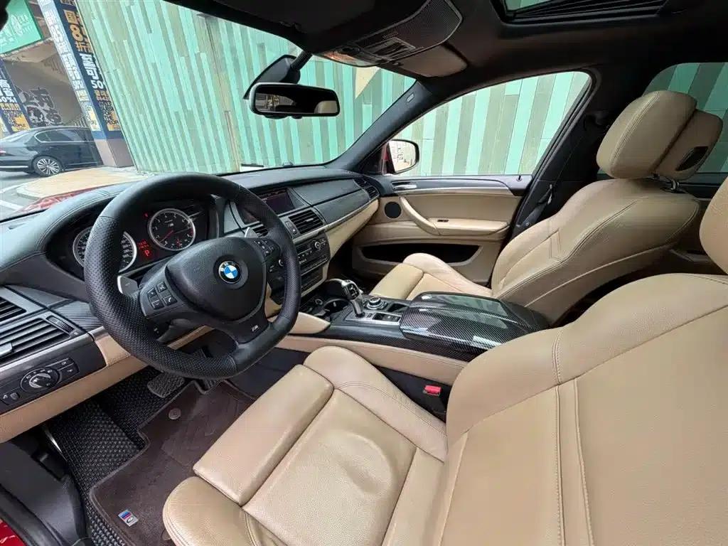 2010 BMW X6 M — миниатюра 3