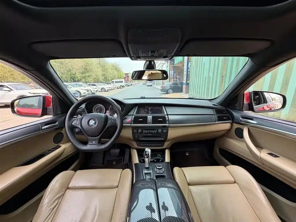 2010 BMW X6 M — миниатюра 5