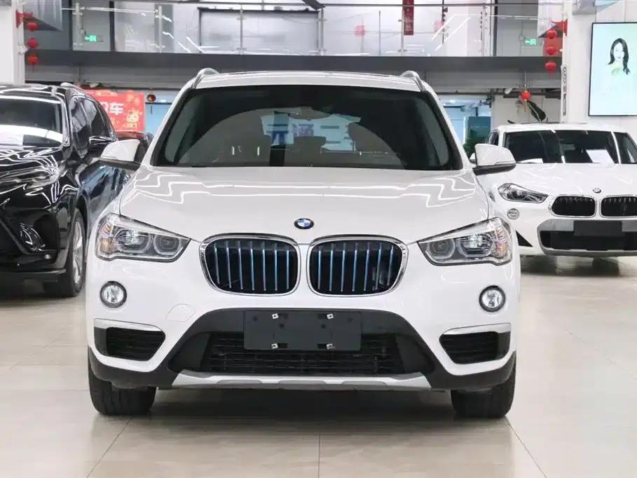 BMW X1 PHEV 2018 xDrive25Le Luxury — миниатюра 2