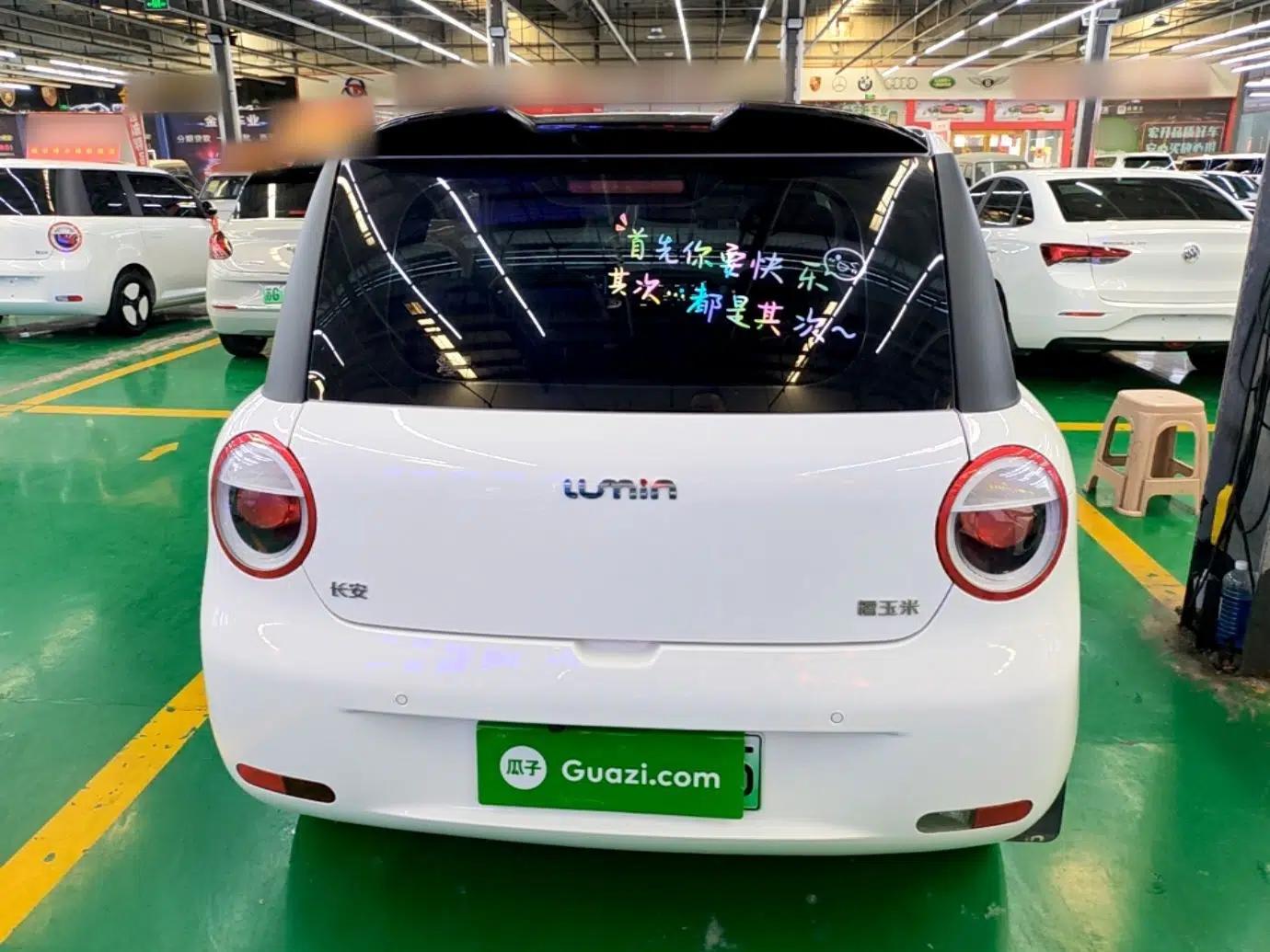 CHANGAN NEVO Lumin 2023 205km Xiangqin Version — миниатюра 5