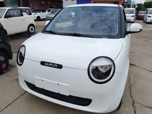 CHANGAN NEVO Lumin 2022 210km Sweet Edition