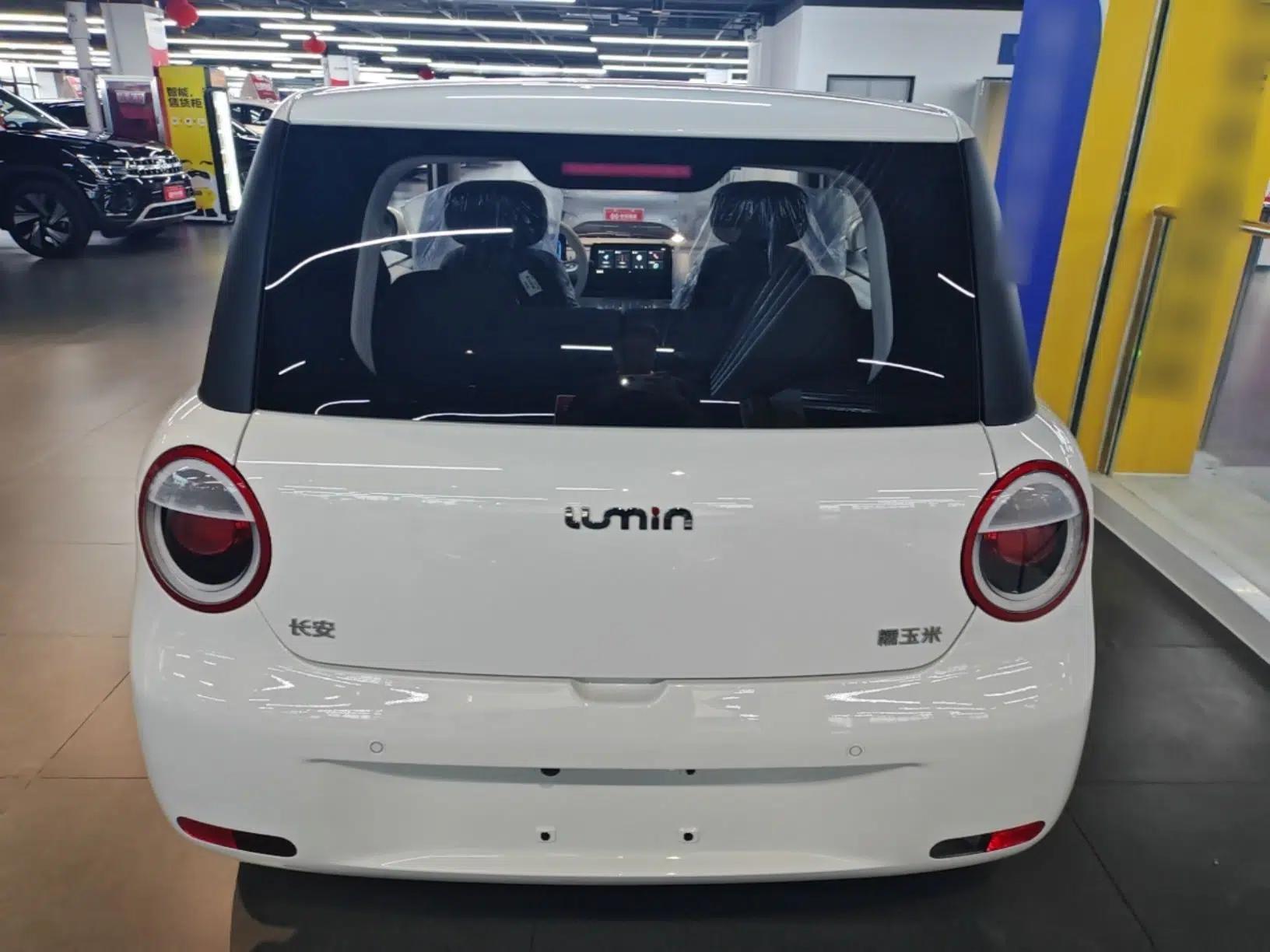 CHANGAN NEVO Lumin 2026 Model Treasure Edition 205km Passionate Beige Ningde — миниатюра 5