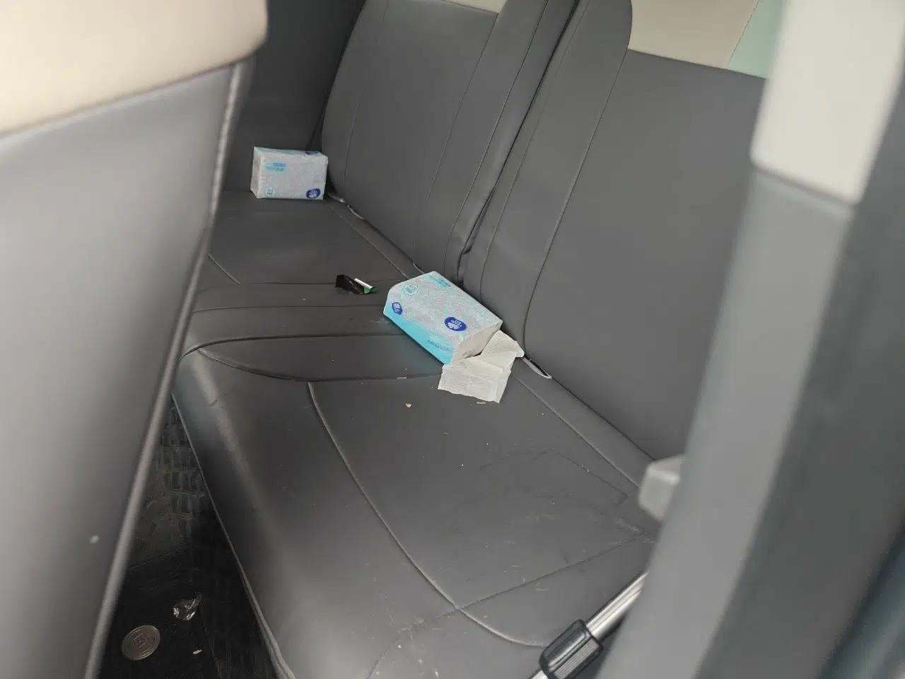 CHANGAN NEVO Lumin 2024 301km Launch Edition — миниатюра 18