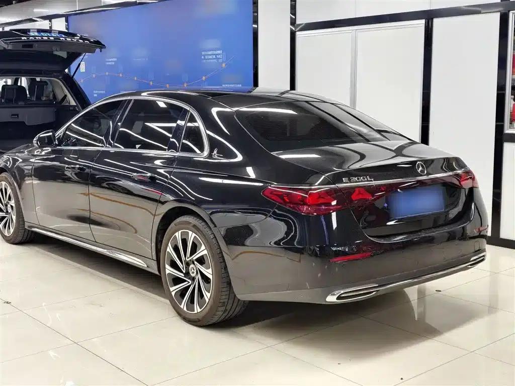 2024 Mercedes-Benz E-Class E 300 L Luxury — миниатюра 24
