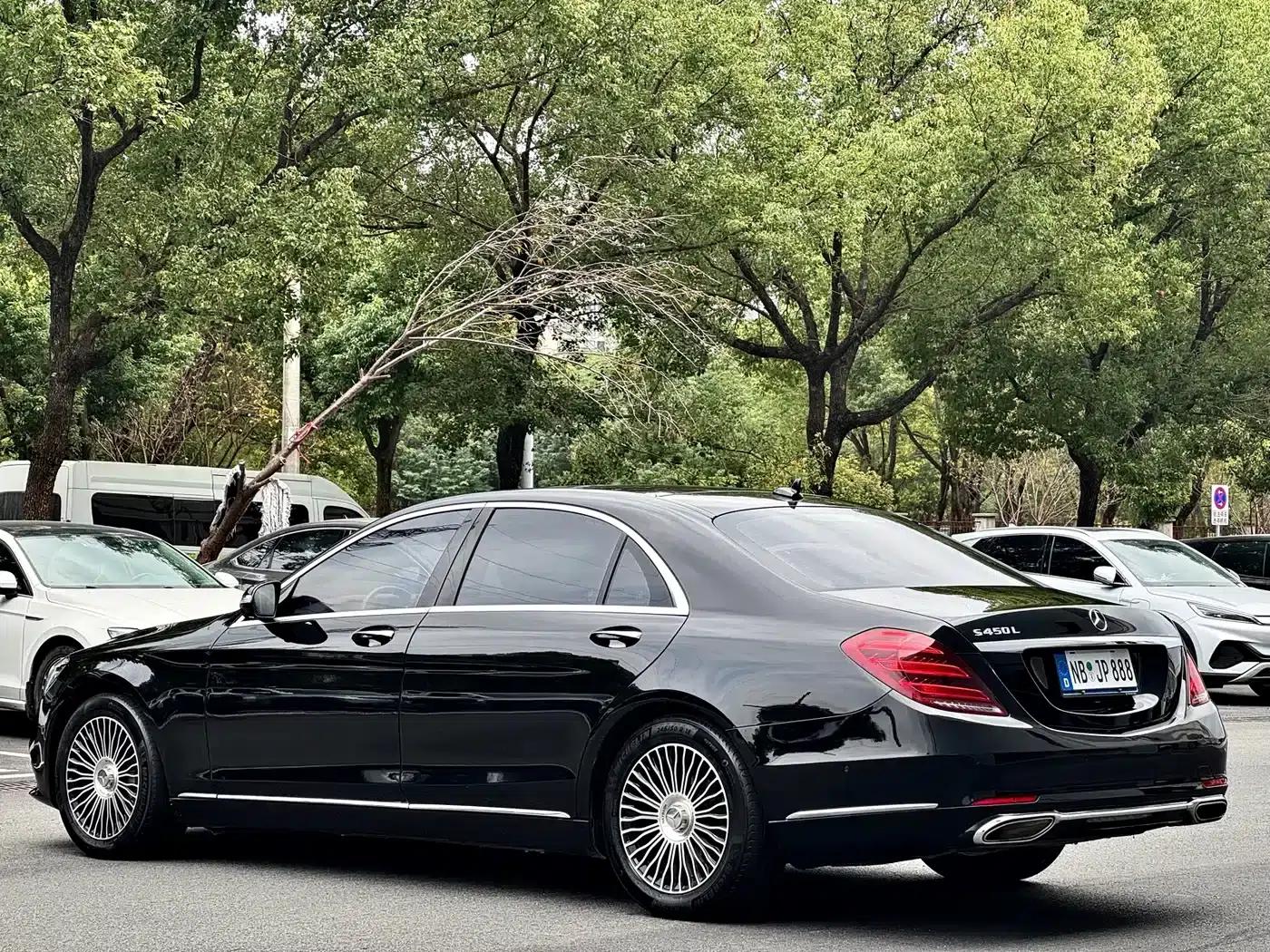 2018 Mercedes-Benz S-Class S 350 L — миниатюра 19