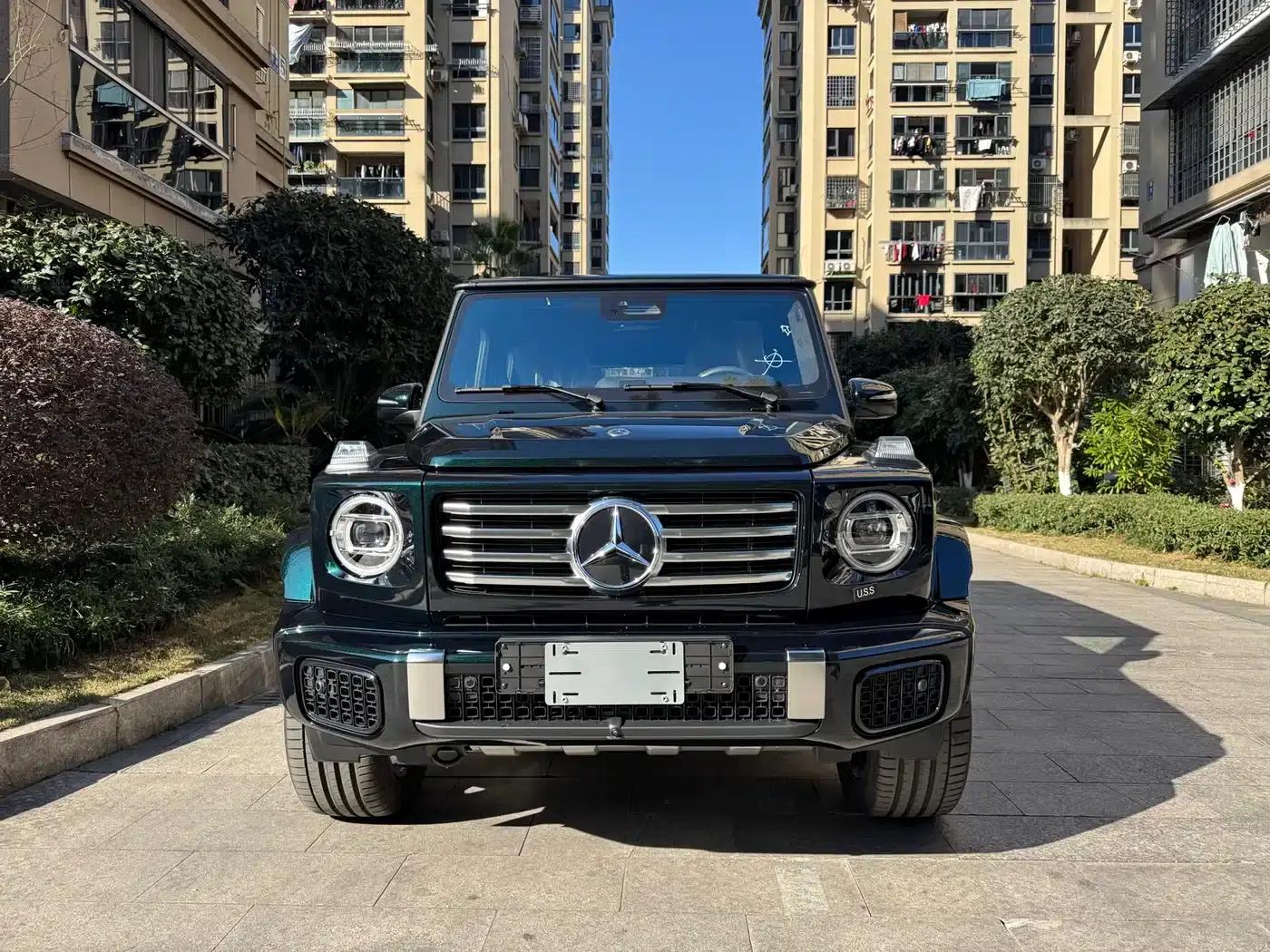 2025 Mercedes-Benz G-Class G 450 d — миниатюра 1