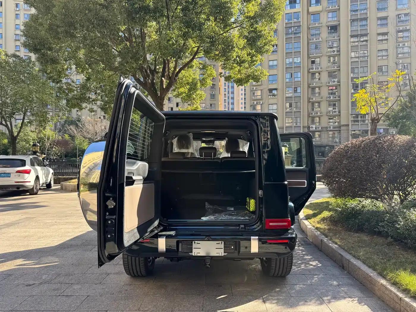 2025 Mercedes-Benz G-Class G 450 d — миниатюра 13