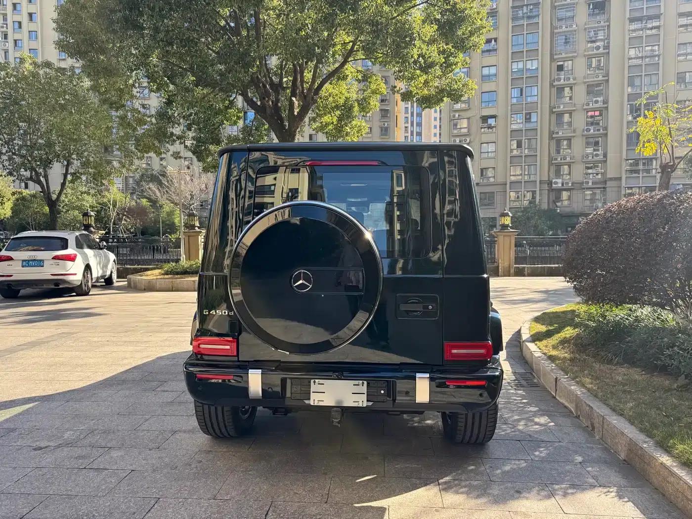 2025 Mercedes-Benz G-Class G 450 d — миниатюра 16