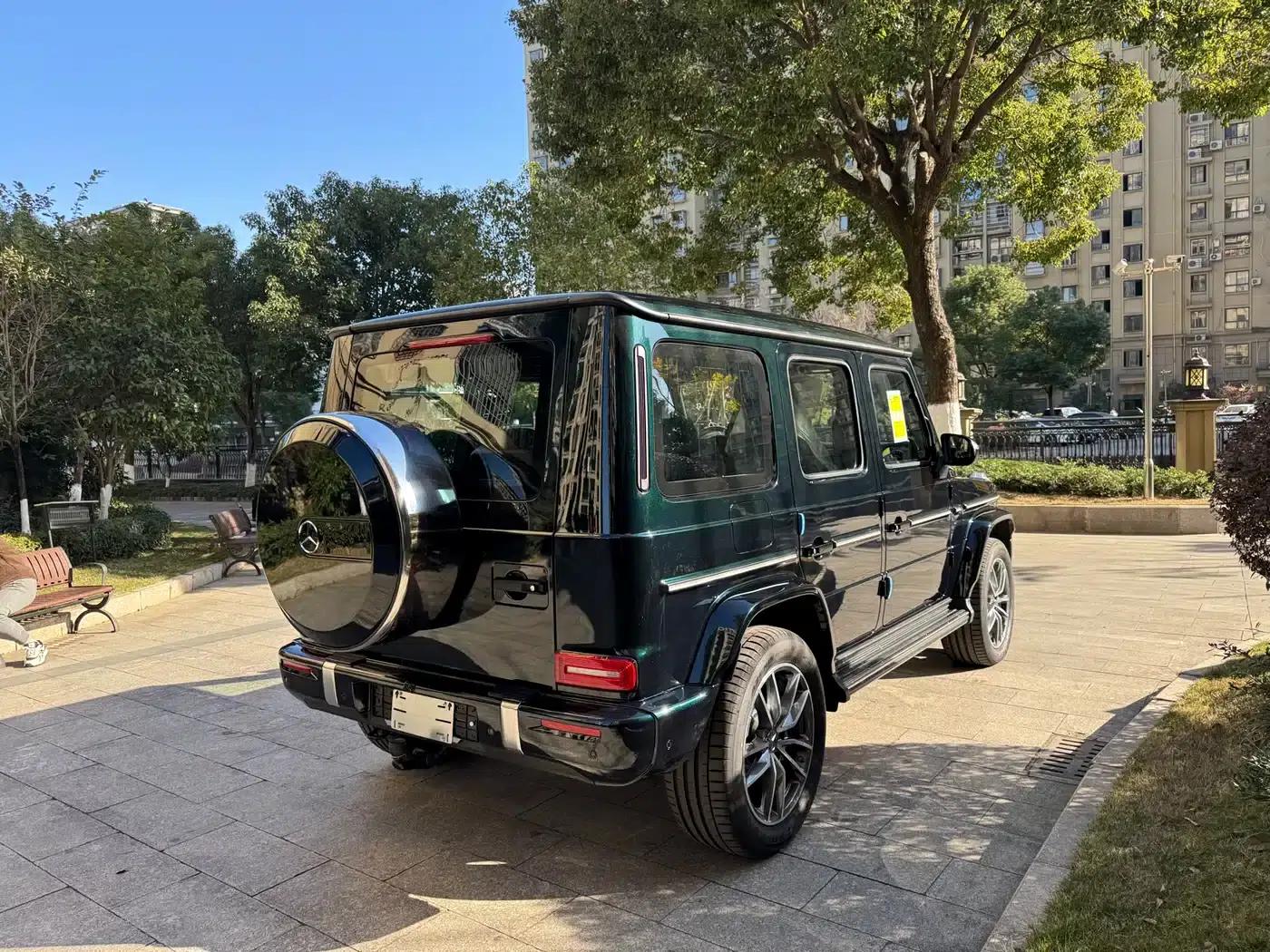 2025 Mercedes-Benz G-Class G 450 d — миниатюра 17
