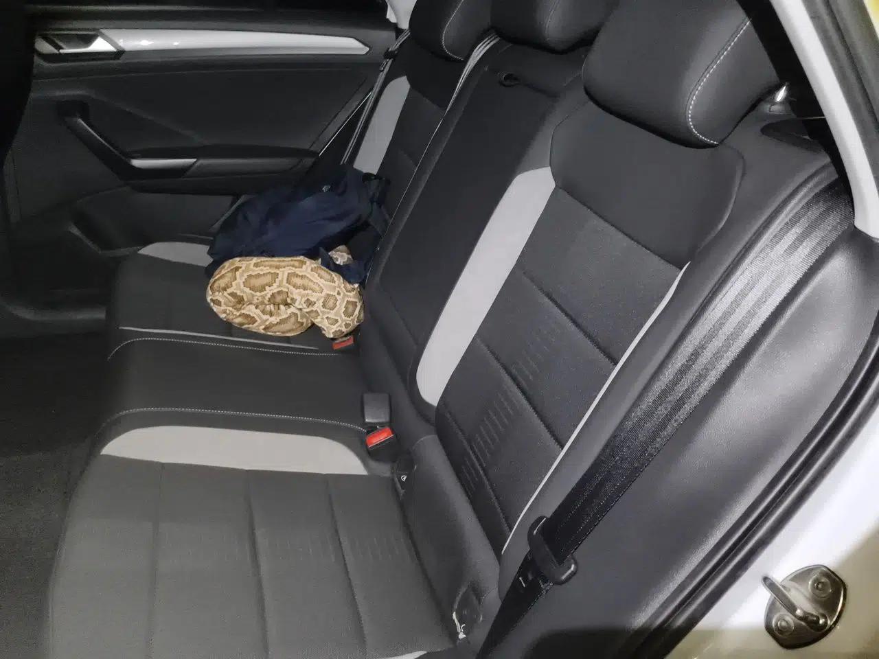 Volkswagen T-ROC 2021 280TSI DSG Two-Wheel Drive Elite Connect Edition — миниатюра 18