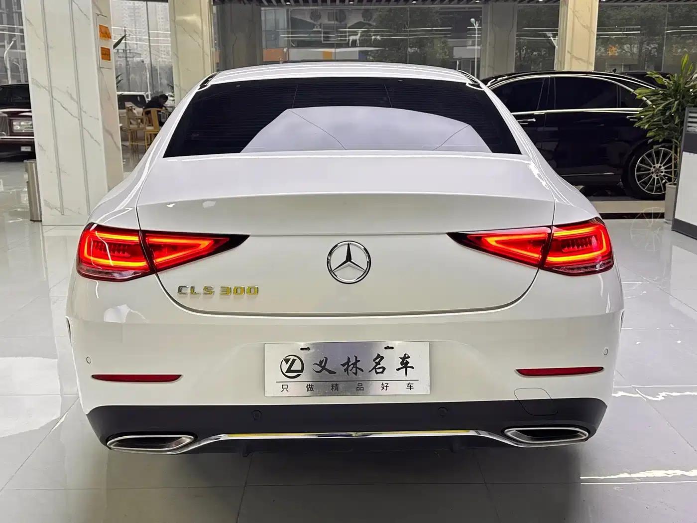 Mercedes-Benz CLS 2020 CLS 300 Dynamic — миниатюра 8