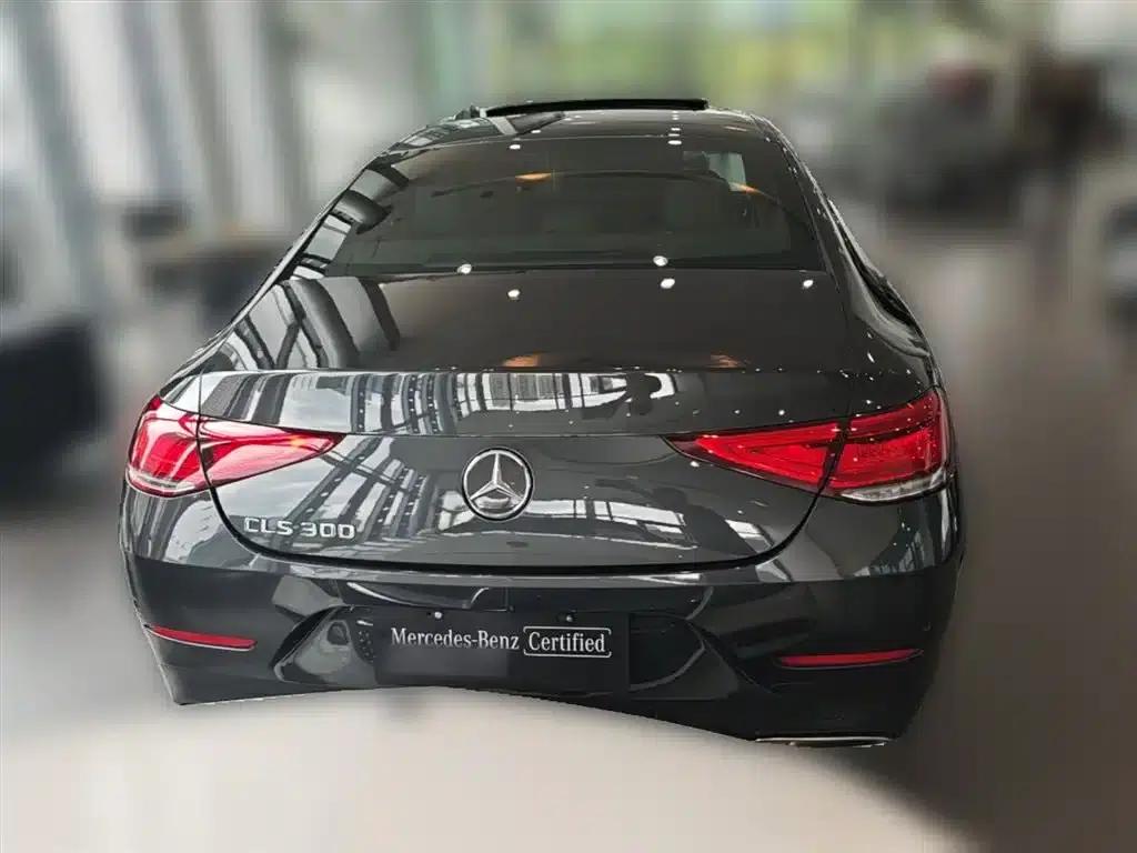 Mercedes-Benz CLS 2020 CLS 300 Dynamic — миниатюра 10