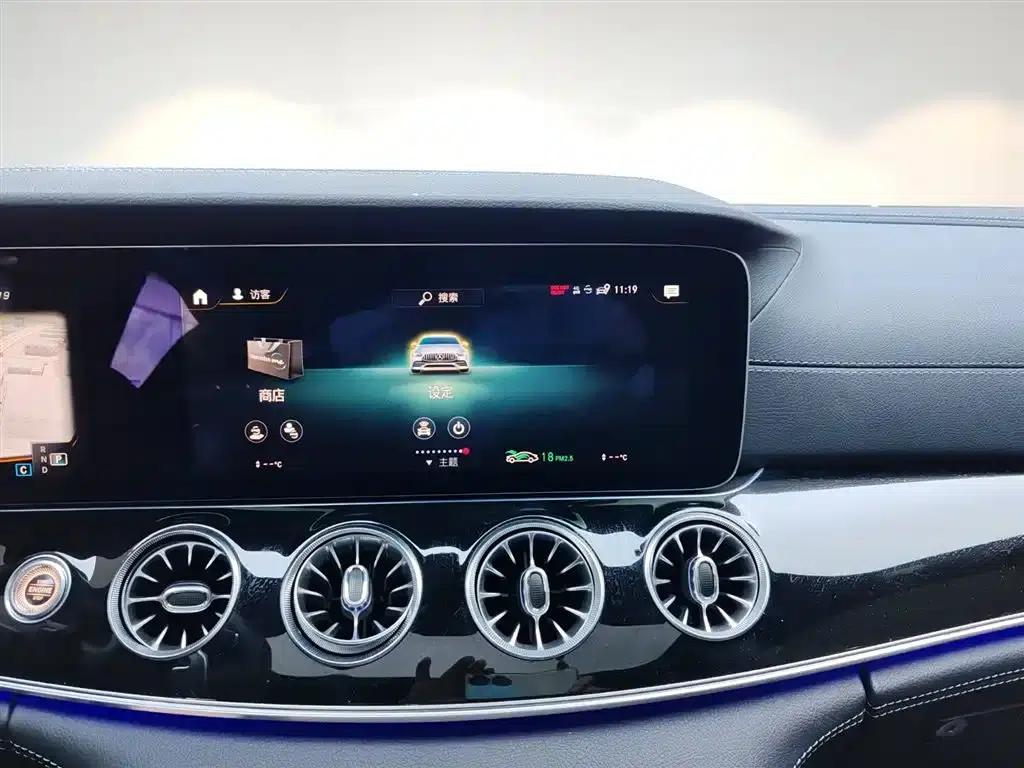 2023 AMG GT 50 Coupe — миниатюра 13