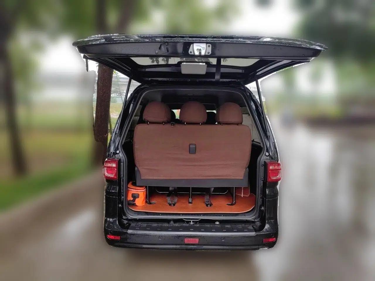 FORTHING Lingzhi 2022 Striving Version M5L 1.6L Base Model 9-Seater — миниатюра 20