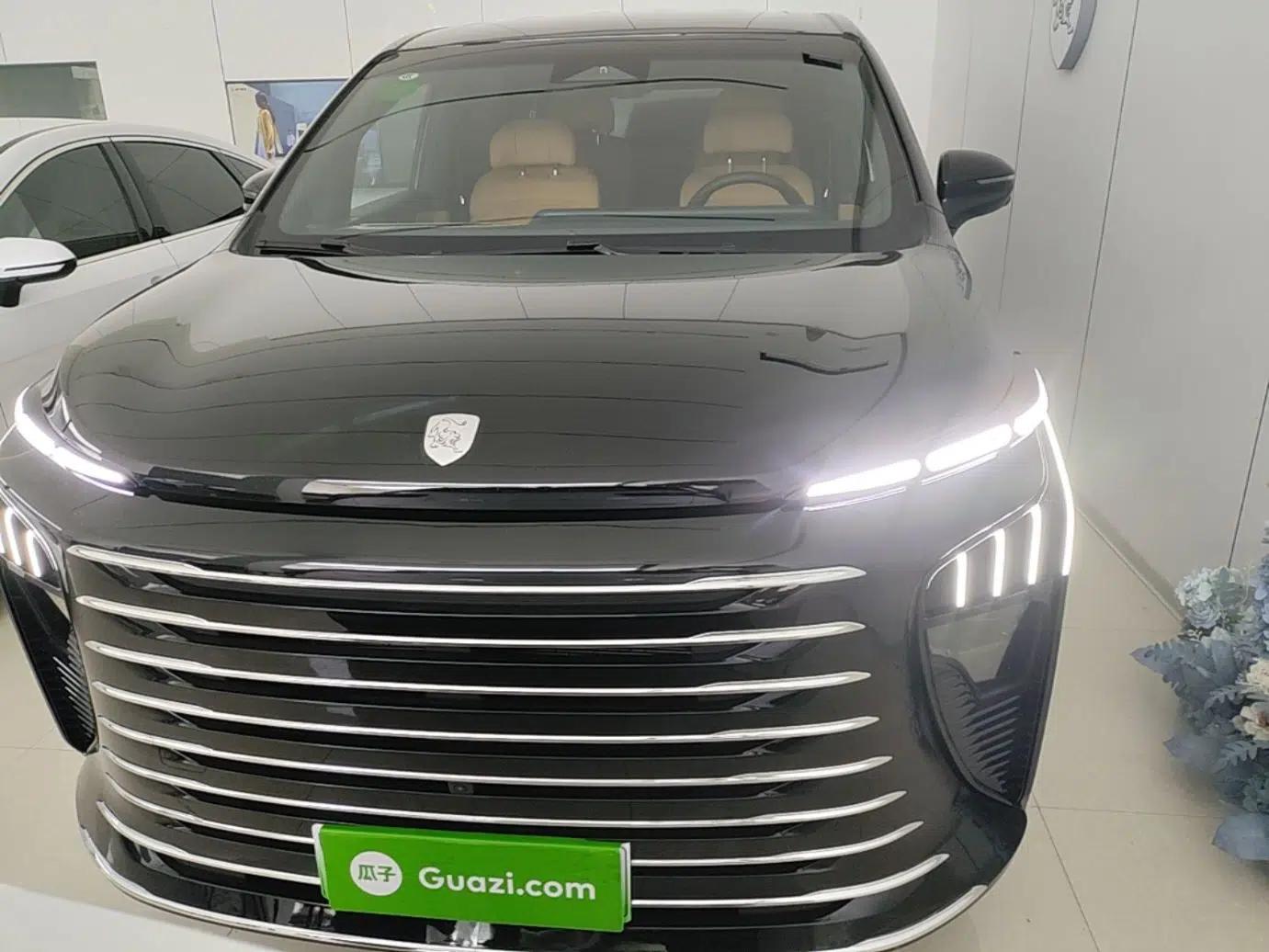FORTHING Xinghai V9 2026 Model, More Enjoyment Series, 200km Luxury Edition — миниатюра 2